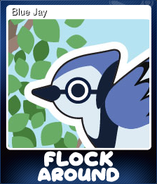 Blue Jay