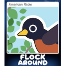 American Robin