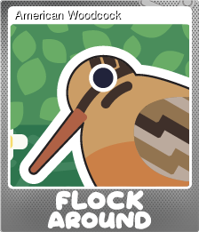 Series 1 - Card 10 of 10 - American Woodcock