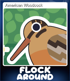 American Woodcock