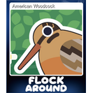 American Woodcock