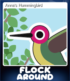 Anna's Hummingbird