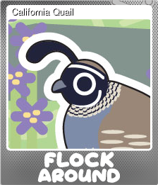 Series 1 - Card 9 of 10 - California Quail