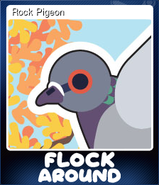 Rock Pigeon