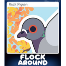 Rock Pigeon