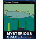 Grosse Baleine