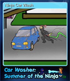 Ninja Car Wash