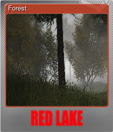 Series 1 - Card 4 of 5 - Forest