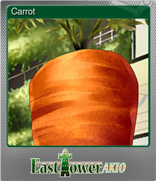 Series 1 - Card 4 of 5 - Carrot