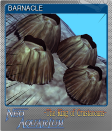 Series 1 - Card 3 of 5 - BARNACLE