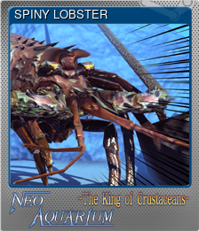 Series 1 - Card 2 of 5 - SPINY LOBSTER