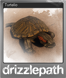 Series 1 - Card 1 of 5 - Turtelio