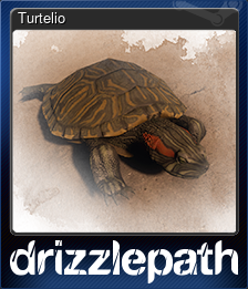 Series 1 - Card 1 of 5 - Turtelio