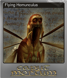 Series 1 - Card 5 of 6 - Flying Homunculus
