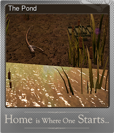 Series 1 - Card 3 of 5 - The Pond