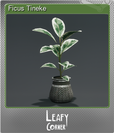 Series 1 - Card 3 of 8 - Ficus Tineke