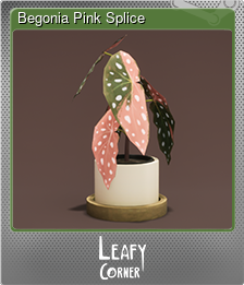 Series 1 - Card 2 of 8 - Begonia Pink Splice