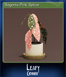 Series 1 - Card 2 of 8 - Begonia Pink Splice