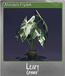 Series 1 - Card 1 of 8 - Alocasia Frydek
