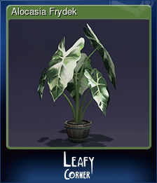 Series 1 - Card 1 of 8 - Alocasia Frydek