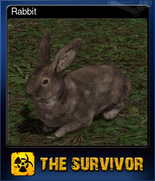 Series 1 - Card 1 of 15 - Rabbit
