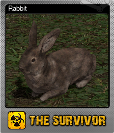Series 1 - Card 1 of 15 - Rabbit