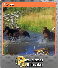 Series 1 - Card 4 of 13 - Horses