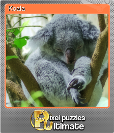 Series 1 - Card 5 of 13 - Koala