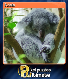 Series 1 - Card 5 of 13 - Koala