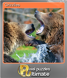 Series 1 - Card 3 of 13 - Grizzlies