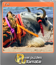 Series 1 - Card 13 of 13 - Yak