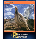 Snowcock