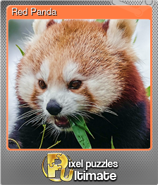 Series 1 - Card 8 of 13 - Red Panda