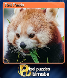Series 1 - Card 8 of 13 - Red Panda