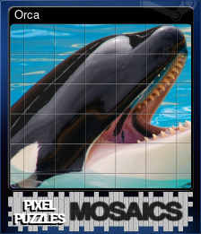 Series 1 - Card 1 of 8 - Orca
