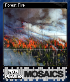 Forest Fire