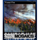 Forest Fire
