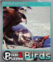 Series 1 - Card 9 of 9 - Straited caracara