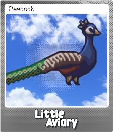 Series 1 - Card 4 of 6 - Peacock