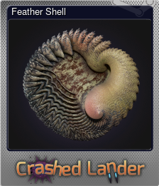 Series 1 - Card 5 of 8 - Feather Shell