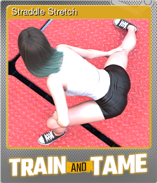 Series 1 - Card 4 of 5 - Straddle Stretch