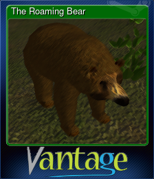 The Roaming Bear