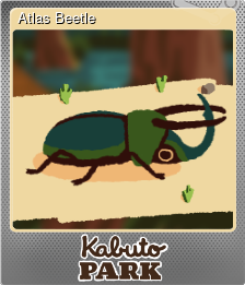 Series 1 - Card 8 of 8 - Atlas Beetle