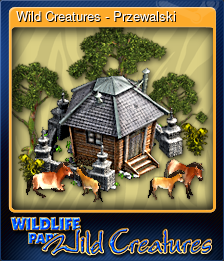 Series 1 - Card 5 of 5 - Wild Creatures - Przewalski