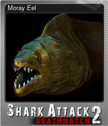 Series 1 - Card 5 of 5 - Moray Eel