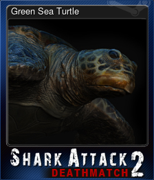 Series 1 - Card 1 of 5 - Green Sea Turtle