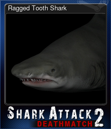 Ragged Tooth Shark