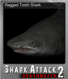 Series 1 - Card 3 of 5 - Ragged Tooth Shark