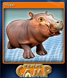 Series 1 - Card 3 of 6 - Hippo