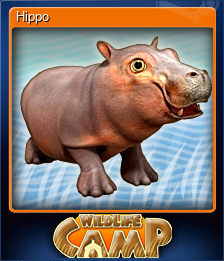 Hippo